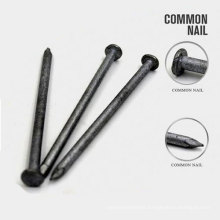 Professional Common Bulidingiron Wire Nails with Nice Price